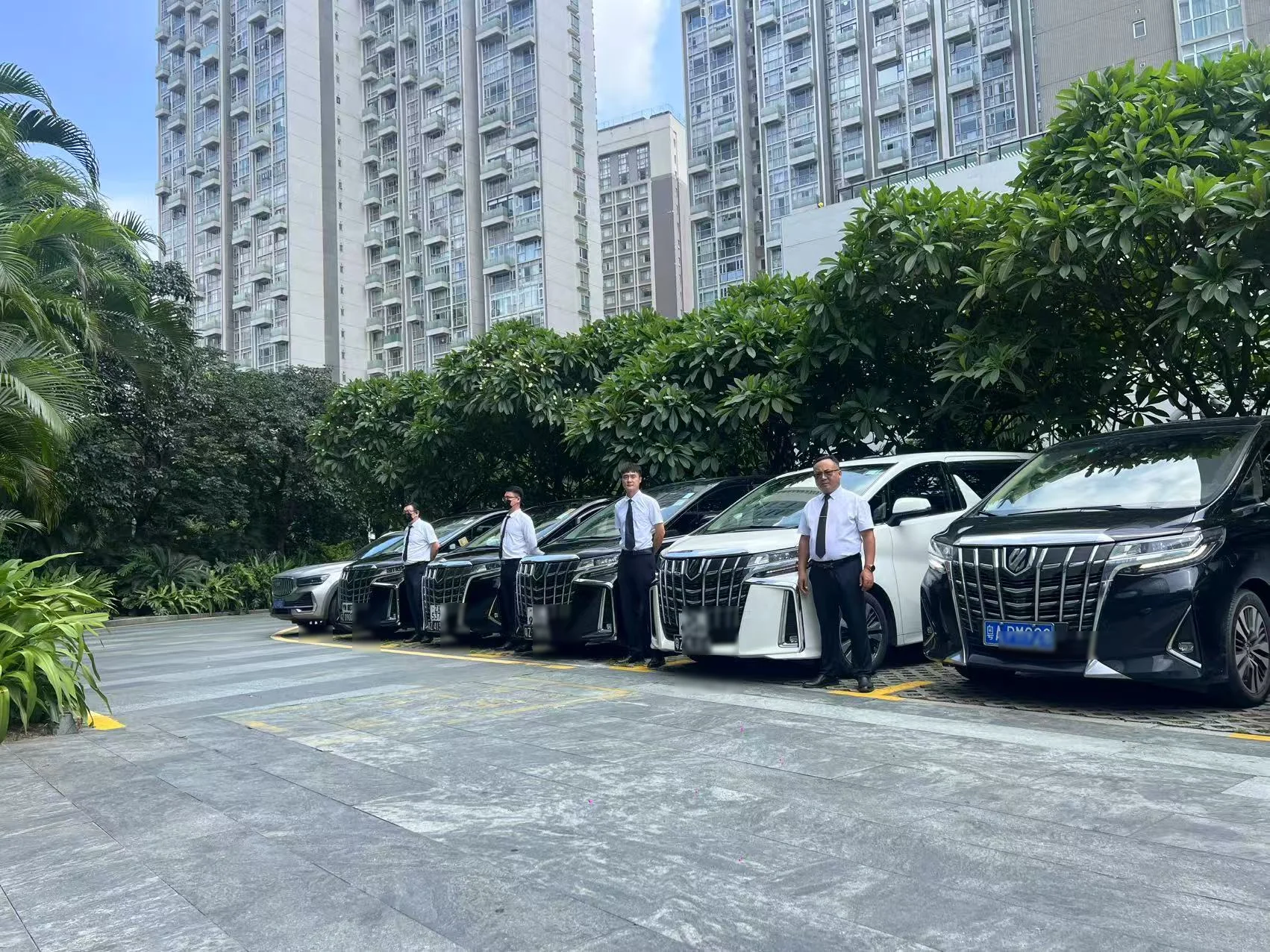 路凯出行多车型车队与司机团队展示
